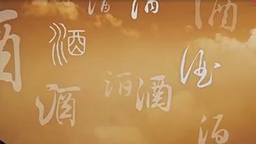 赵王集团形象片